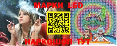 a pvp Ставрополь