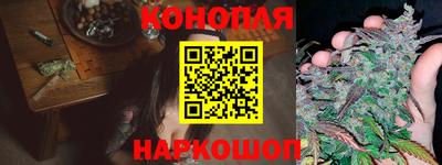 a pvp Ставрополь